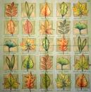 181 Plants - 3-ply - Ambiente